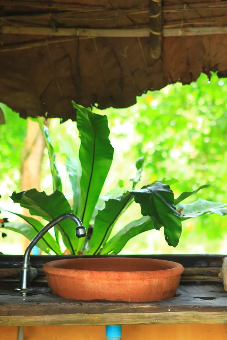 ห้องพักมาตรฐานพร้อมพัดลม(เตียงใหญ่)