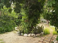 Casa Hostal Mamey - Hostel Hôtels à : 