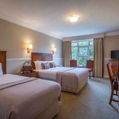 Family Room ( Camp Bed Available On Request) Court Yard Hotel Promo Code