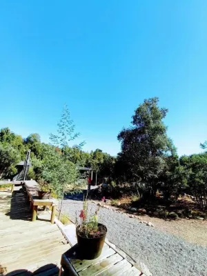 Refugio Silvestre Hotels in 