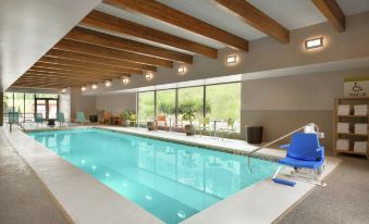 an indoor swimming pool with a blue chair and wooden ceiling , surrounded by windows and greenery at Home2 Suites by HIlton Cartersville