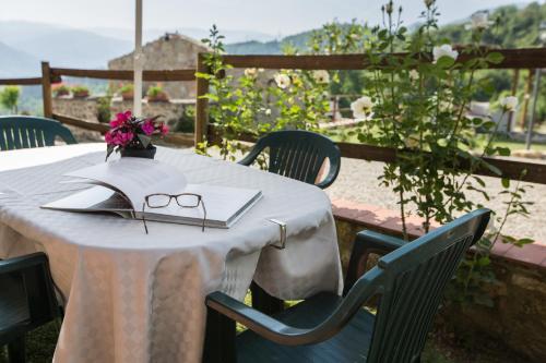 高级两卧室公寓