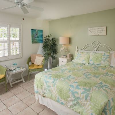 Pool View, 1 Queen Bed, Shower (Pet and Children Friendly)
