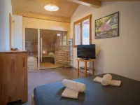 Ambigu Hotels in Chamoson