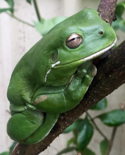 豪华大床一室房