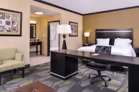Hampton Inn & Suites Big Spring