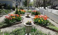 Moore House Bed and Breakfast
