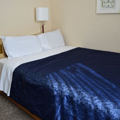 主樓大床房B-禁菸 淺草中央飯店優惠