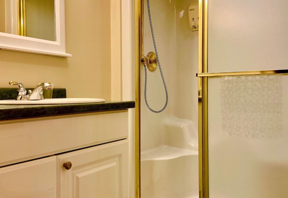 花园豪华房（1张大床，带梳化床）