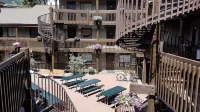 Banff International Hostel