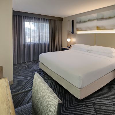 行動聽力無障礙甄選特大床套房帶浴缸 大使套房聖拉斐爾 - 馬林縣優惠