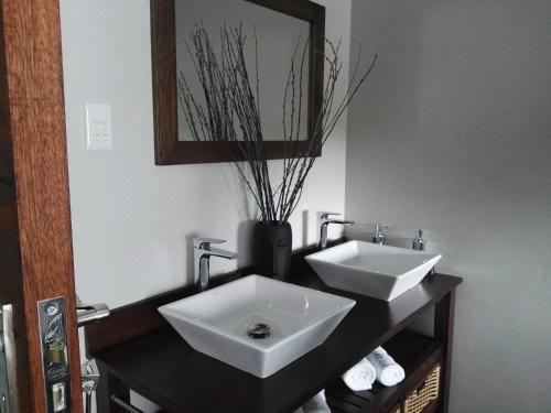 大床间 - 带共用天井