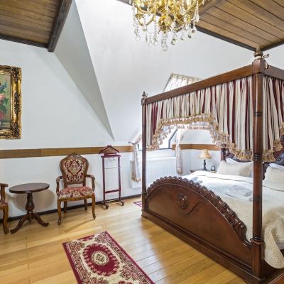 Standard Double Room with King Size Bed Spa Hotel Zámek Lužec Promo Code