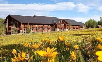 a wooden building with a sloping roof is surrounded by a field of yellow flowers at Daniels Summit Lodge