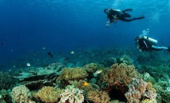 a scuba diver swimming over a coral reef in the ocean , surrounded by various fish and sea creatures at Sinar Harapan