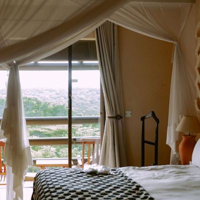 Executive Room, Resort View Elephant Hills Resort Promo Code