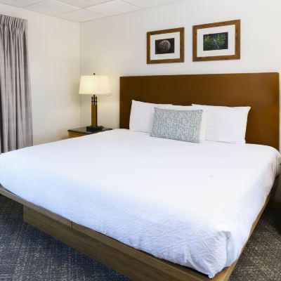 Signature Room, 1 Bedroom Stoneridge Resort Promo Code