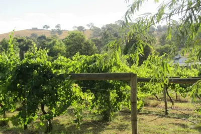 De'Vine Escape Hotels in 