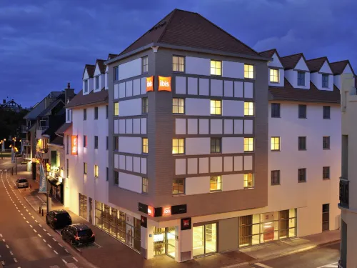 Ibis de Panne