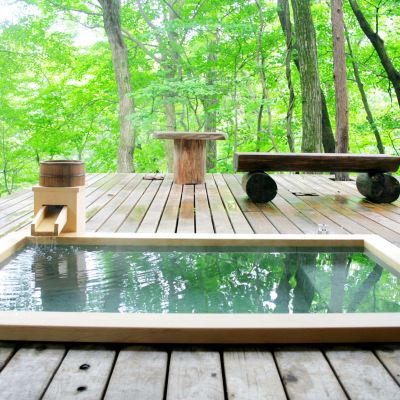 屏風岳/露天風呂付き, シャワー付き。 温泉山荘　だいこんの花 クーポン