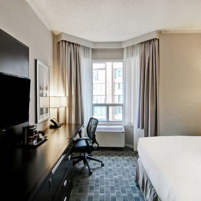 行動無障礙大床房（帶淋浴） 多倫多市中心希爾頓逸林酒店優惠