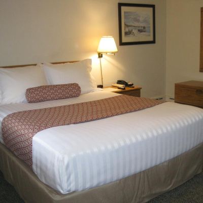 Standard Room, 1 Queen Bed, Refrigerator&Microwave, Ground Floor