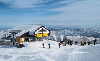 Alpine Villa Nozawa