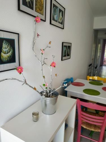 公寓 - 地面楼层