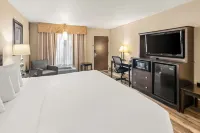 Best Western Coral Hills Hotele w: 