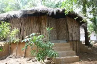 Daltons Banana Guesthouse Hotels in 