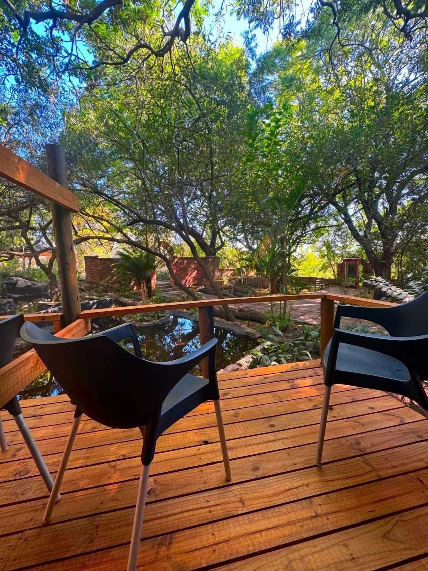 高级双床房，2张单人床