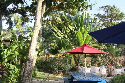 Negril Palms Hotels in 