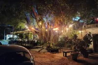 The Bird’s Nest Studio: Steps from the Beach