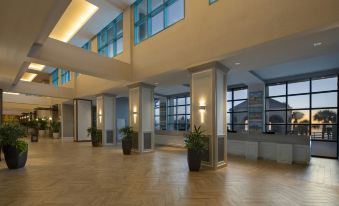 Hilton Daytona Beach Resort - Housity