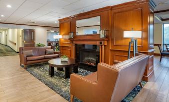 Comfort Inn and Suites Newark