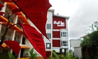 Hotel Casa Royale - Housity