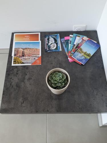 一室房（带沙发）