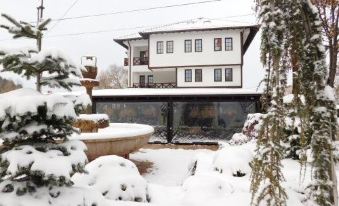 Hotel Gogov - Housity