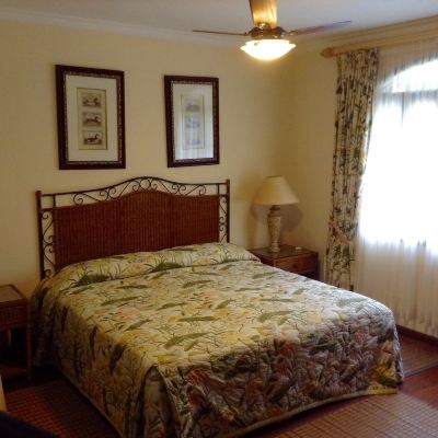 Deluxe Double or Twin Room, 1 King Bed, Non Smoking