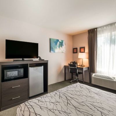Accessible-1 Queen,Mobility Accessible,Roll in Shower,Desk,Lounge Chair,Microwave and Refrigerator,Non-Smoking Surestay Plus Hotel by Best Western Seatac Airport Promo Code