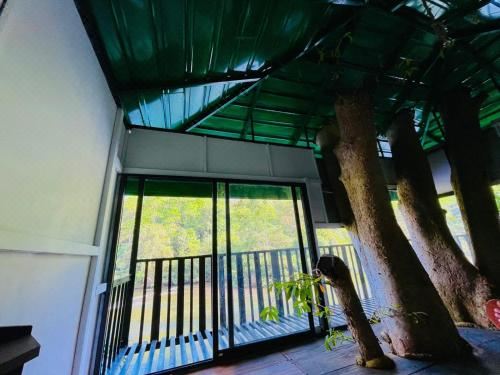 The Magical Tree House Double Room With Balcony