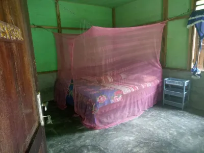 Green Lodge Tangkahan Hotels in 