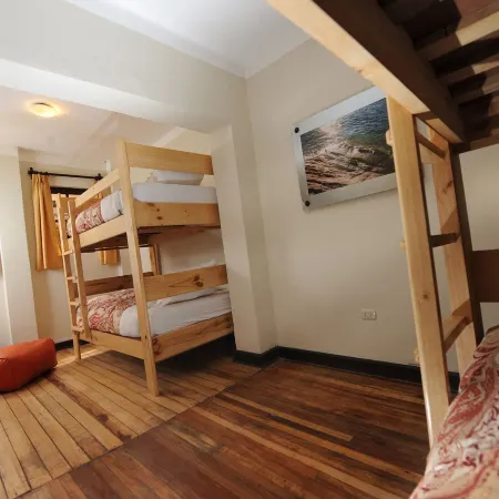 Bear Packer Hostel