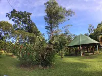 Caribbean Paradise Eco-Lodge Hotels in 
