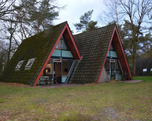 Bungalow in Limburg Near Nature Reserves Hotels in Stramproy