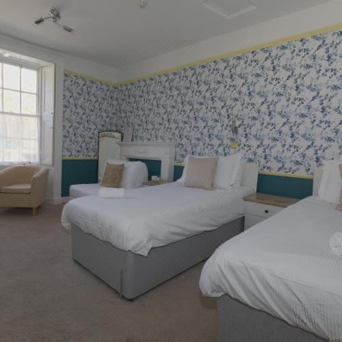 高级双人或双床房