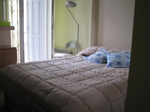 一室公寓 - 带阳台和城市景观