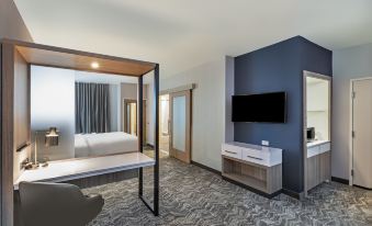 SpringHill Suites Austin West/Lakeway