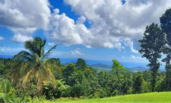 El Hotelito at The Rainforest Experience Farm