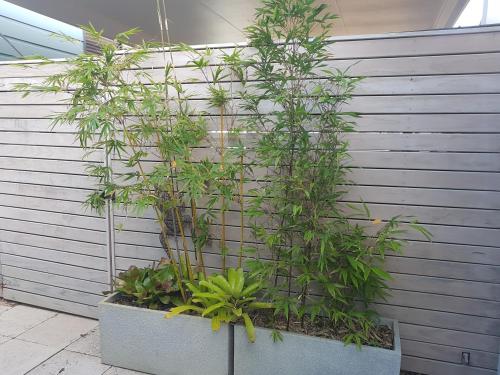 Twenty on Lake Studio Apartment